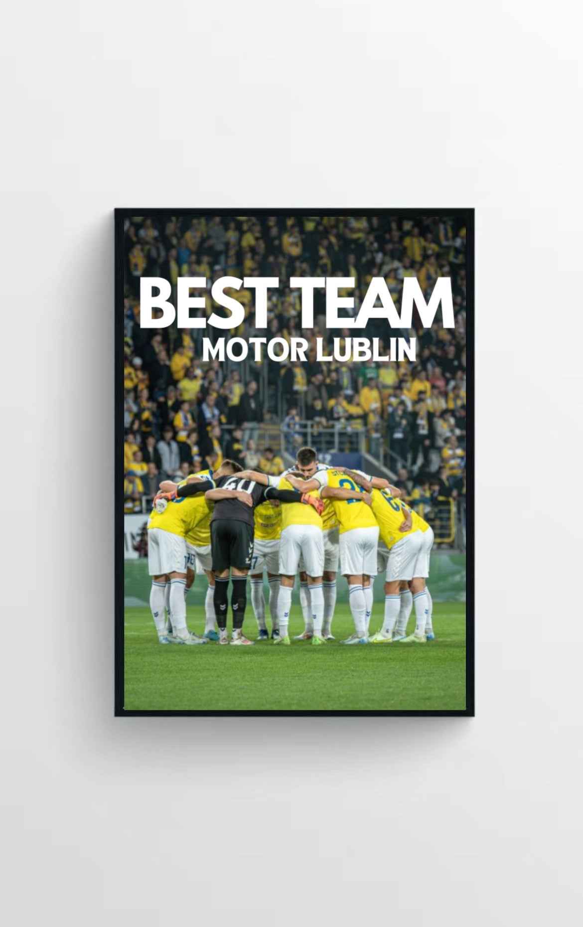 MOTOR LUBLIN