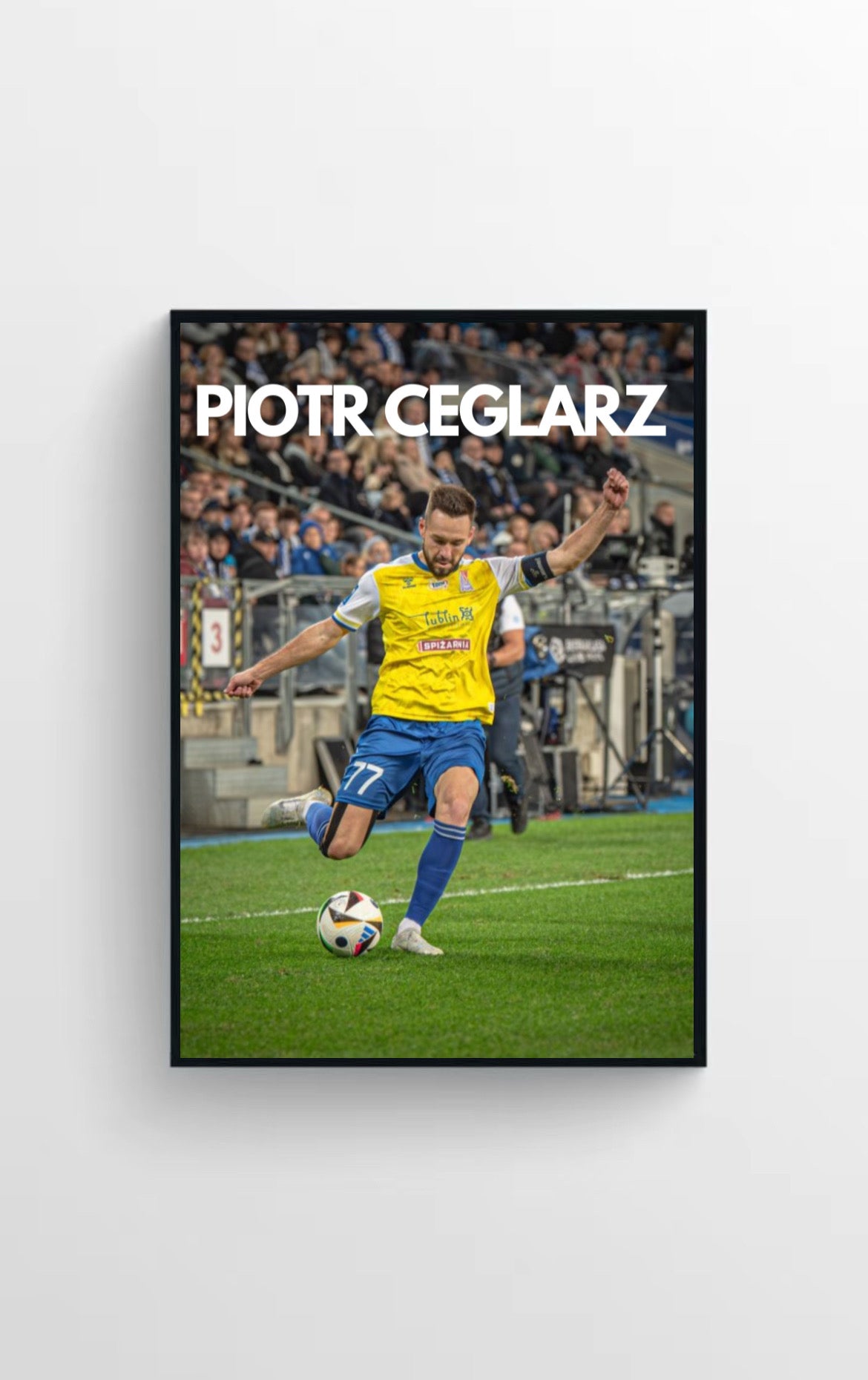 PIOTR CEGLARZ