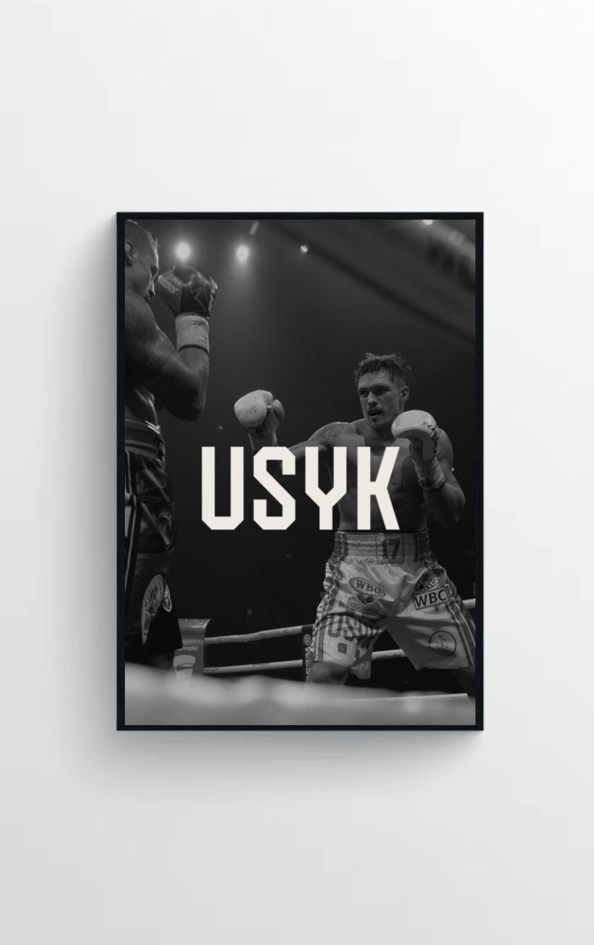 OLEKSANDR USYK