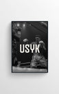 OLEKSANDR USYK