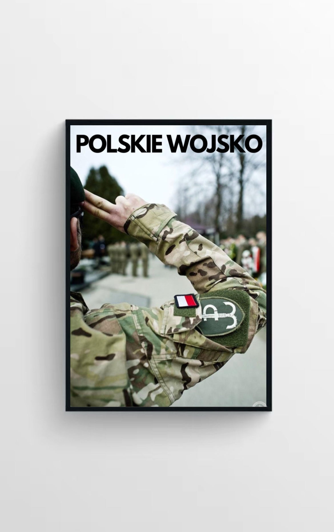 WOJSKO POLSKIE🇵🇱