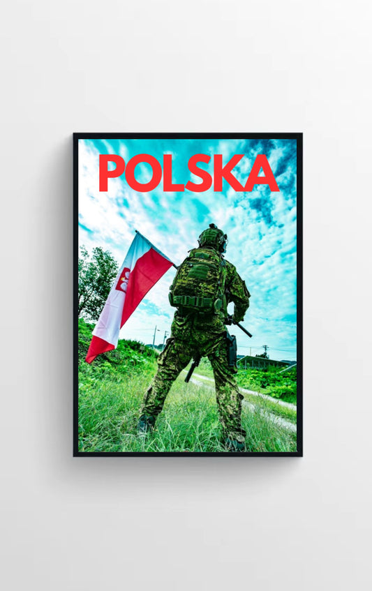 WOJSKO POLSKIE🇵🇱