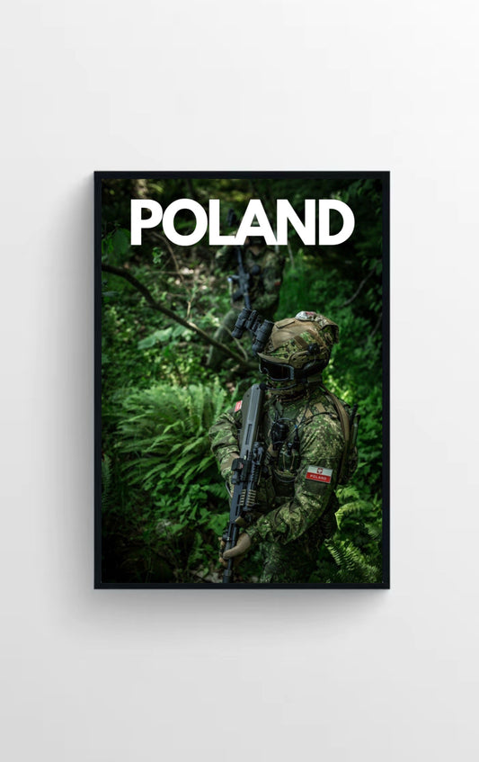 WOJSKO POLSKIE🇵🇱
