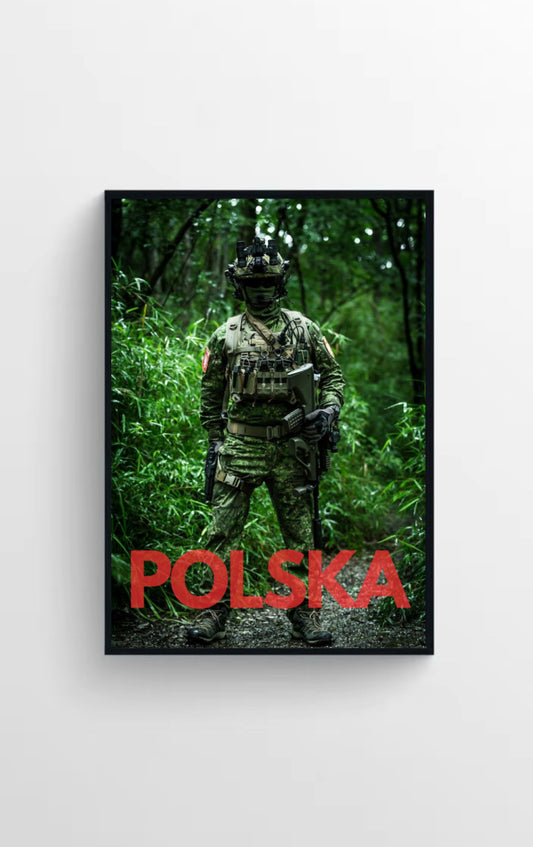 WOJSKO POLSKIE🇵🇱